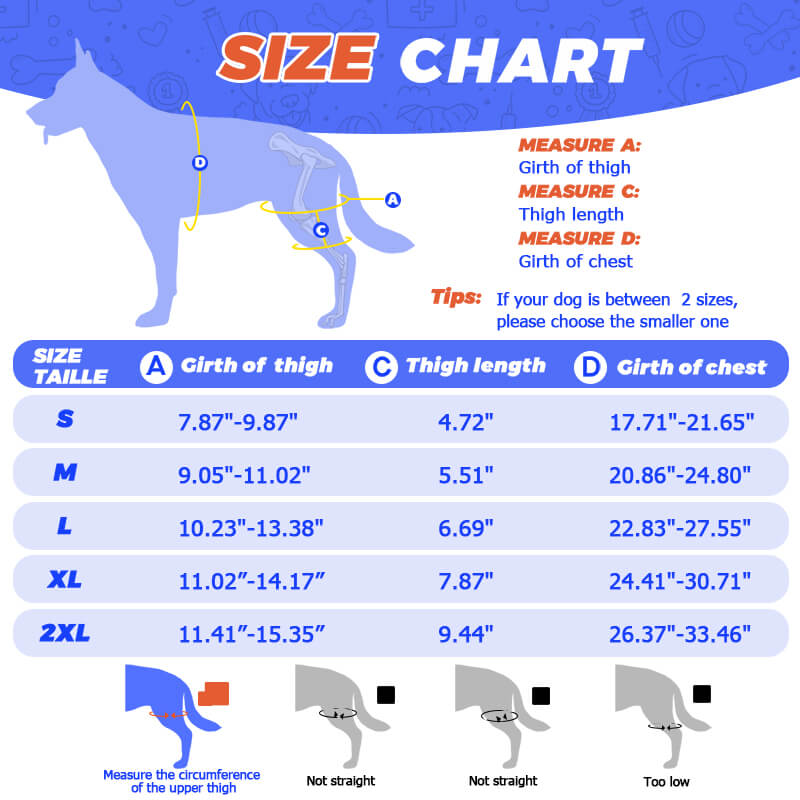 dog knee brace_size-supet