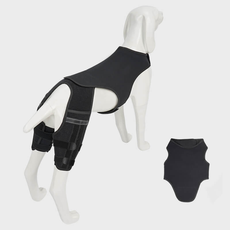 dog knee brace1-supet