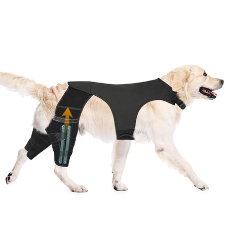 dog knee brace-supet