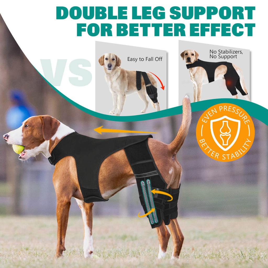 dog knee brace3-supet