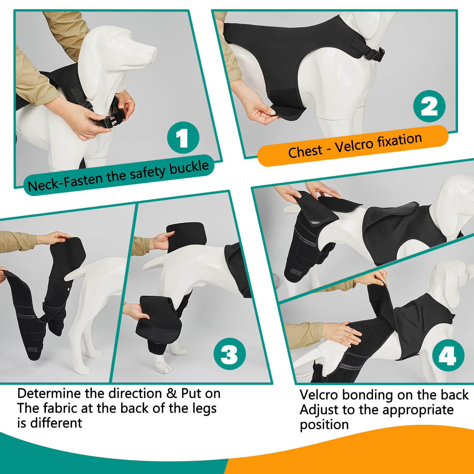 dog knee brace4-supet