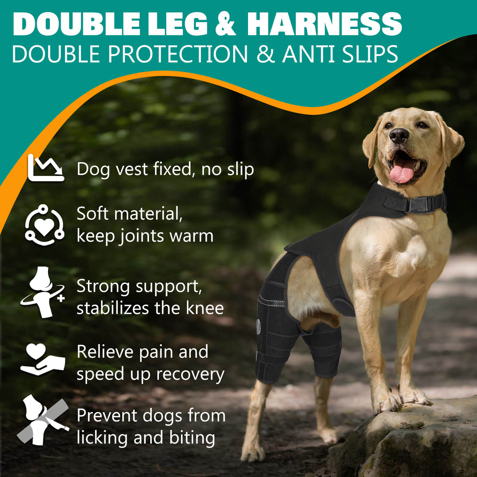 dog knee brace5-supet