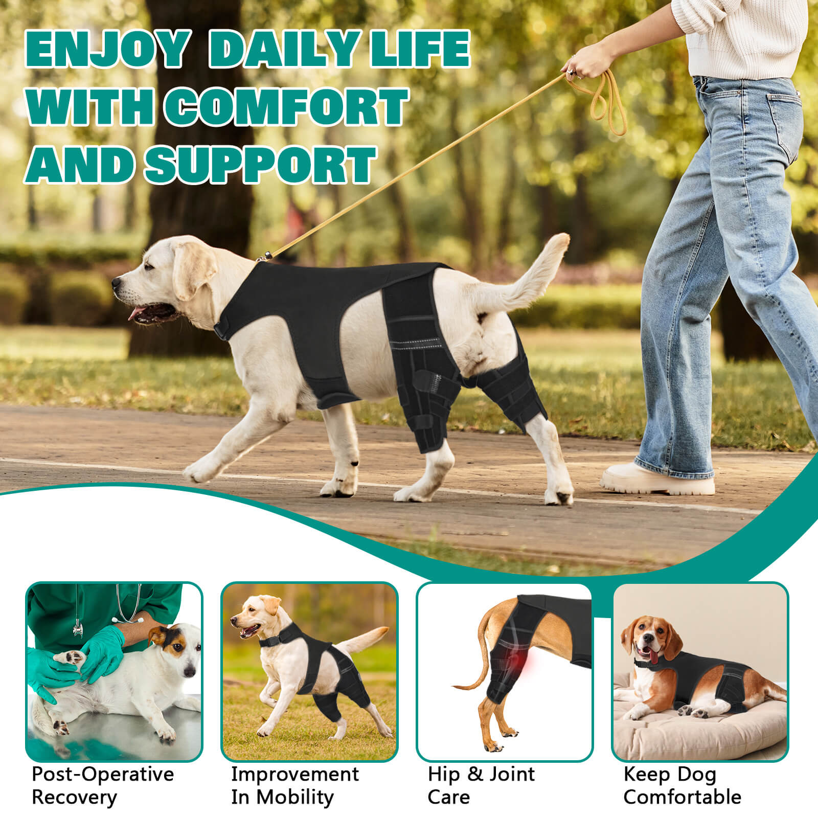 dog knee brace6-supet