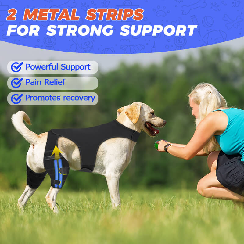 dog knee brace6-supet