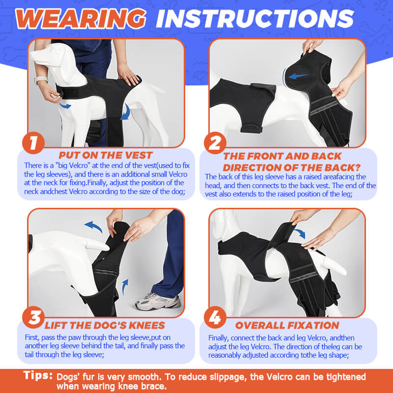 dog knee brace8-supet