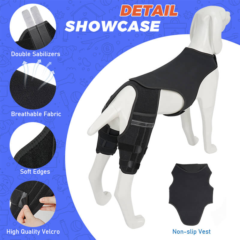 dog knee brace4-supet