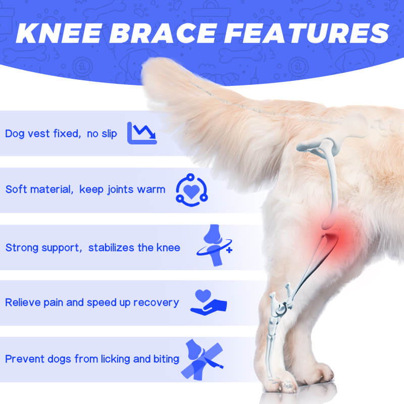 dog knee brace5-supet